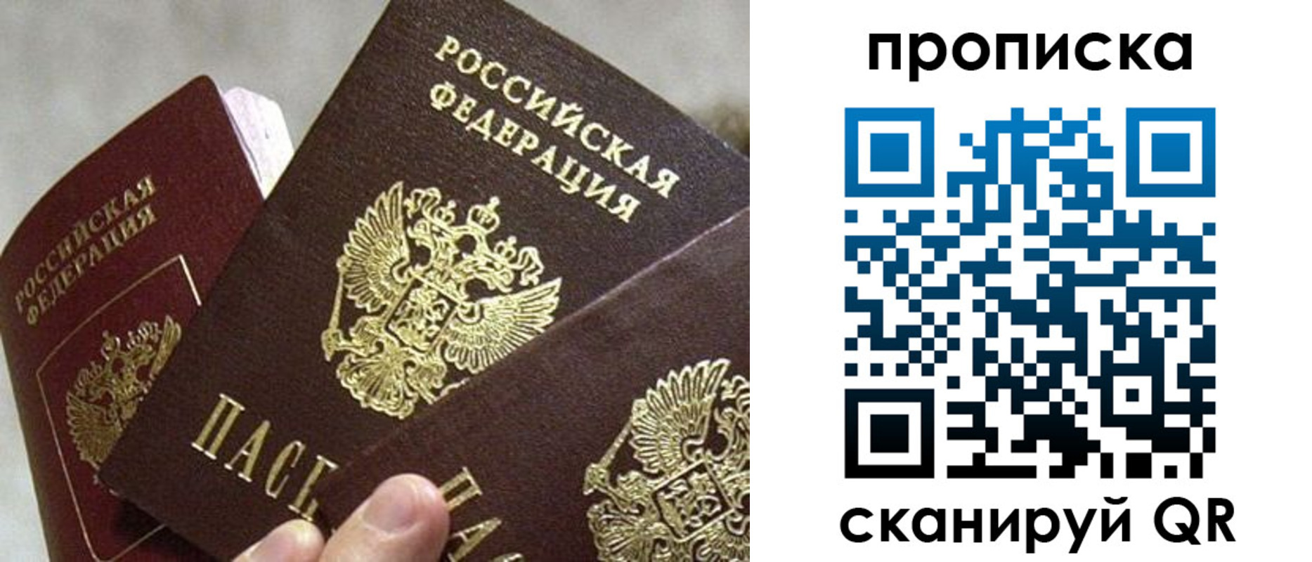 прописка 2025 в Королёве